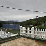 Green Paradise View