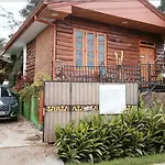 20/20 Wood Cabana