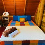 The Tranquil Wooden Cabana
