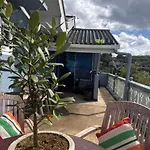Succulent Homestay