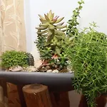 Osaasplace