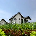 Nuwara Eliya The Fern Cove