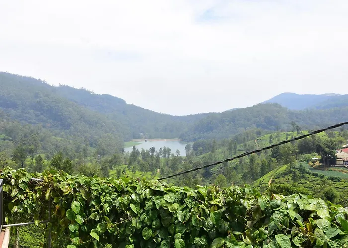 Lake View Homestay