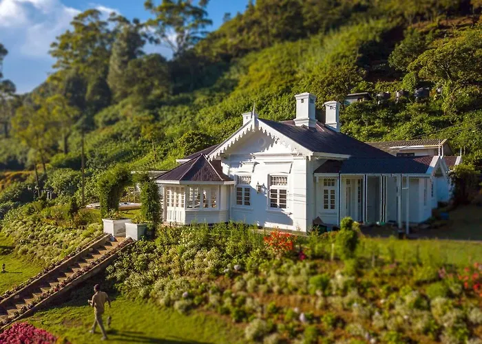 The Clovelly Bungalow