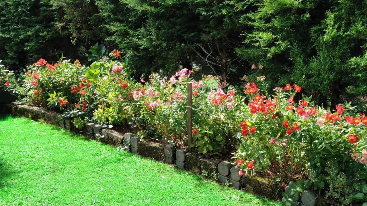The Royal Terrace Holiday Bungalow Bed & Breakfast