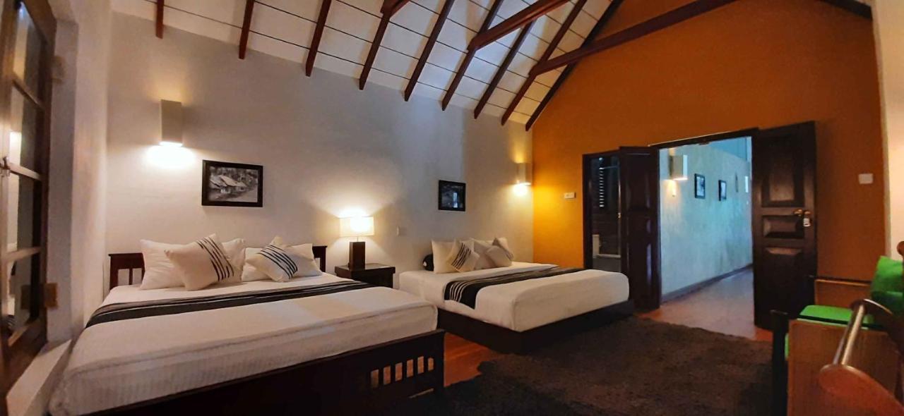 Oasis Bungalow - Guest house