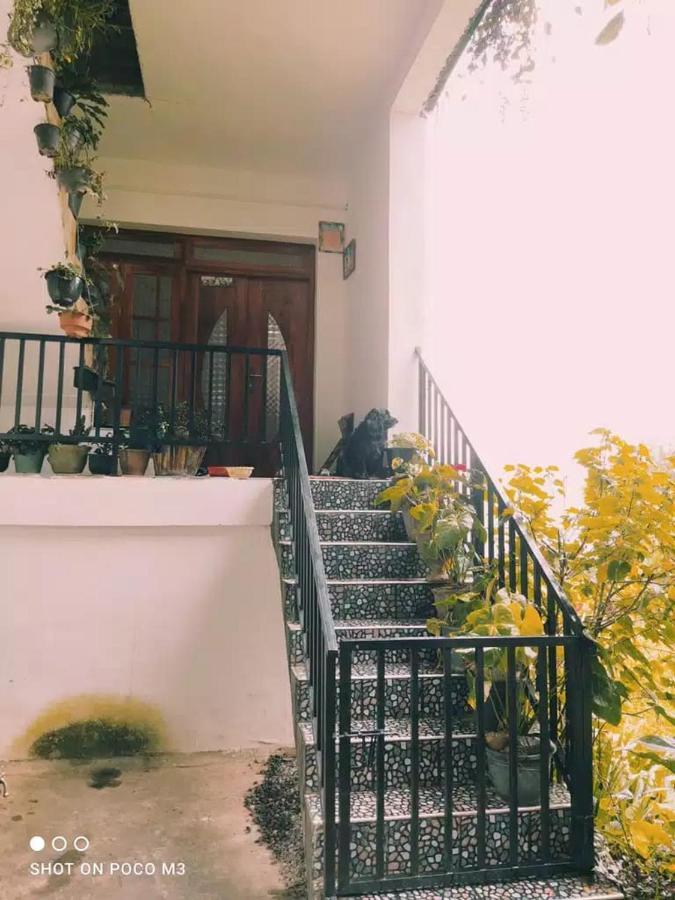 Homestay La Rose