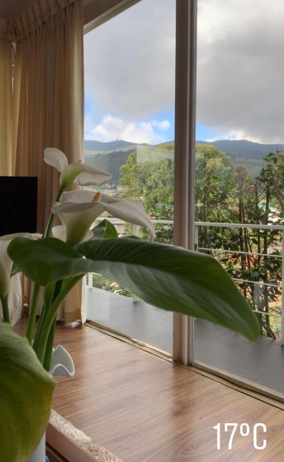 Andora 4*