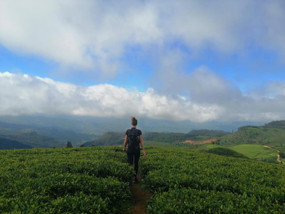 Unique View Nuwaraeliya