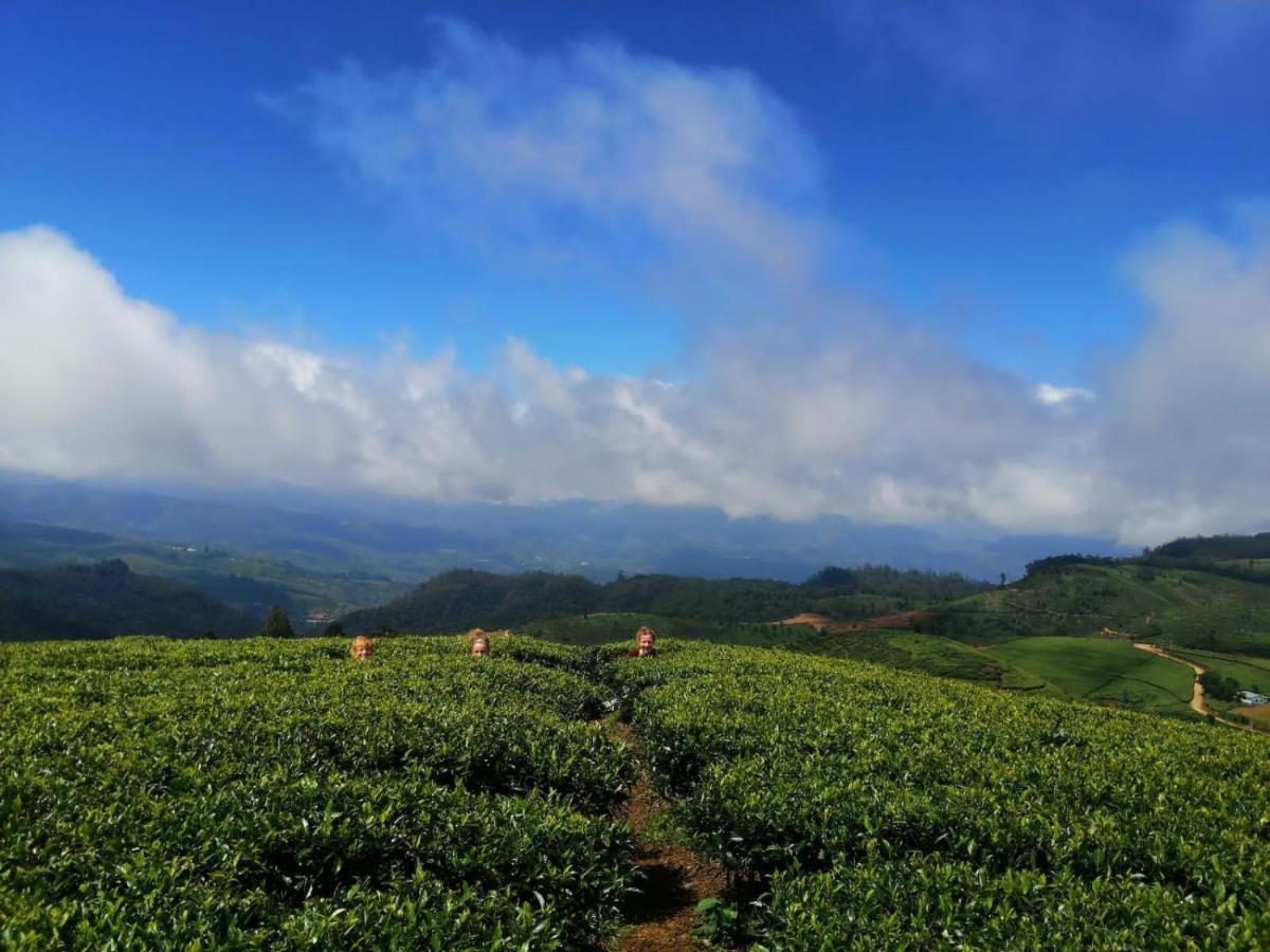 Unique View Nuwaraeliya Guest house