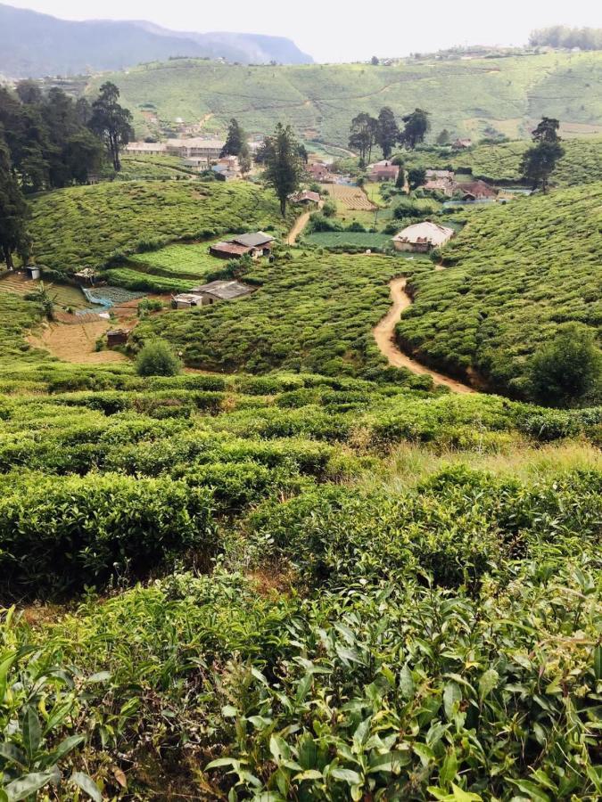 Guest house Unique View Nuwaraeliya