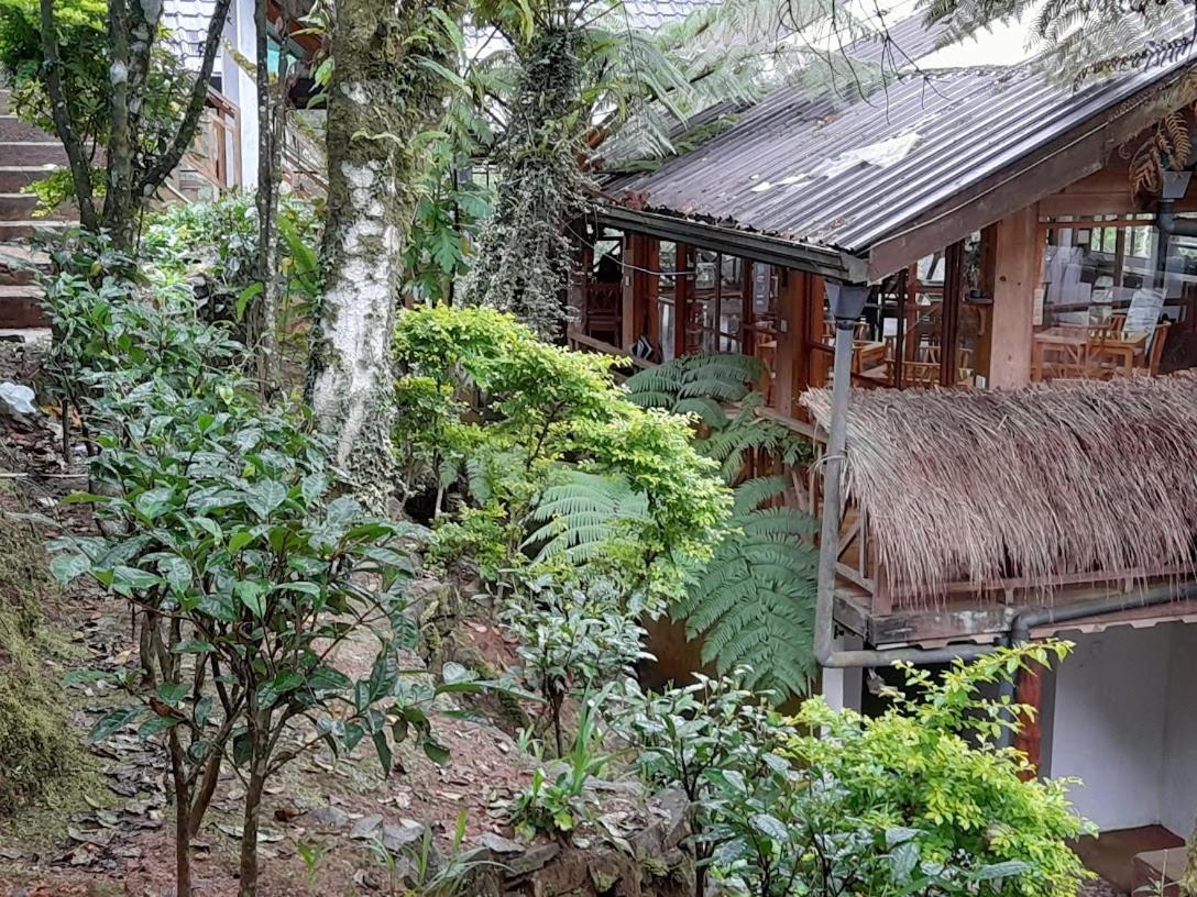 Hotel Kingfern *
