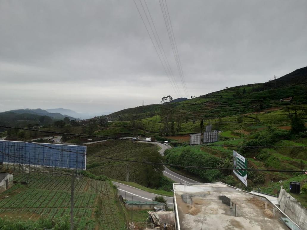 Green Paradise View *