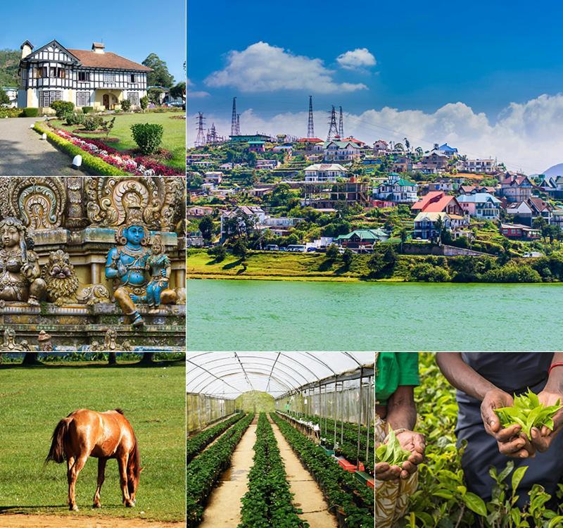 Resort Cool Breeze Grand Nuwara Eliya