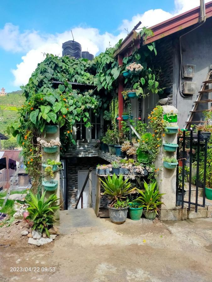 Homestay Sri *