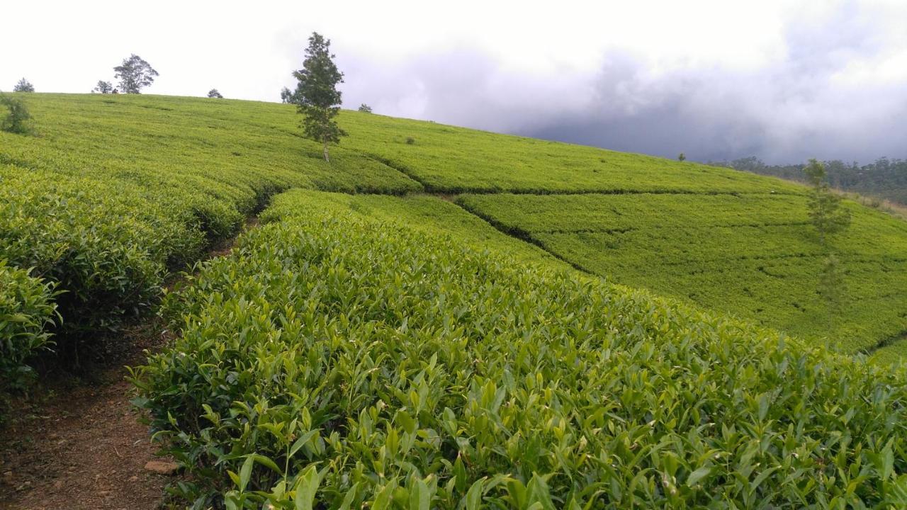 Sri * Nuwara Eliya