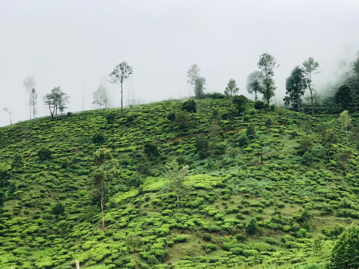 Queensland * Nuwara Eliya