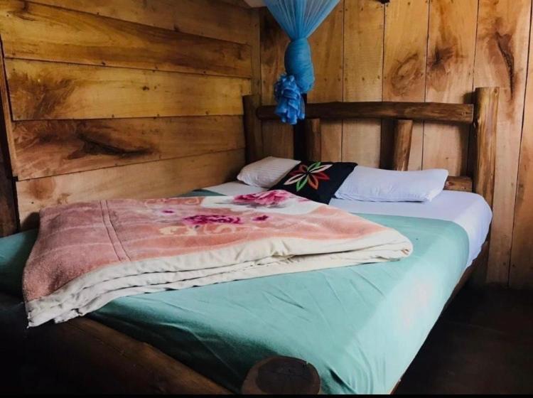 Homestay The Paulwood Cabin