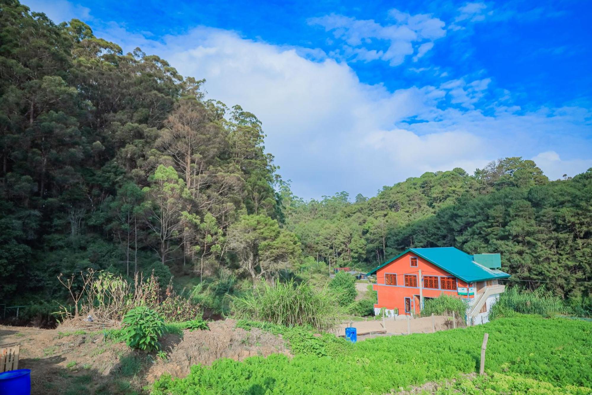 The Backwoods Standard Nuwara Eliya