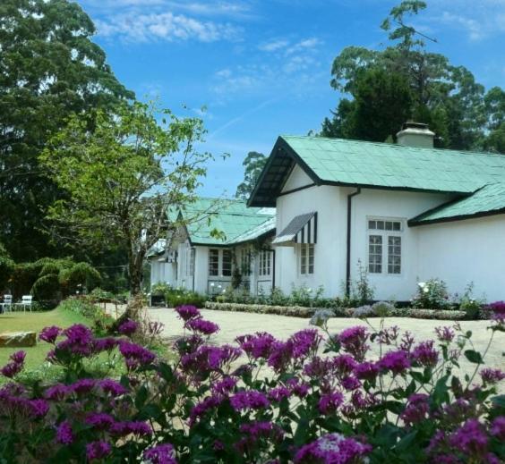 The Trevene 2* Nuwara Eliya