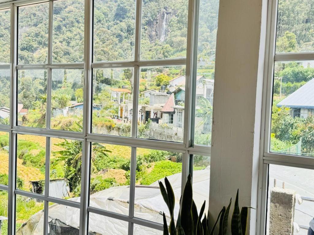 Shalika * Nuwara Eliya