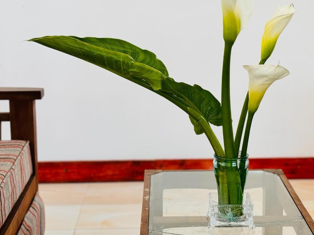 Shalika Holiday home Nuwara Eliya