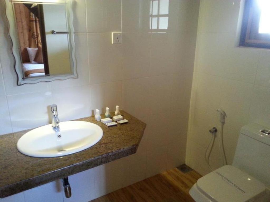 Alpine Hotel 3*