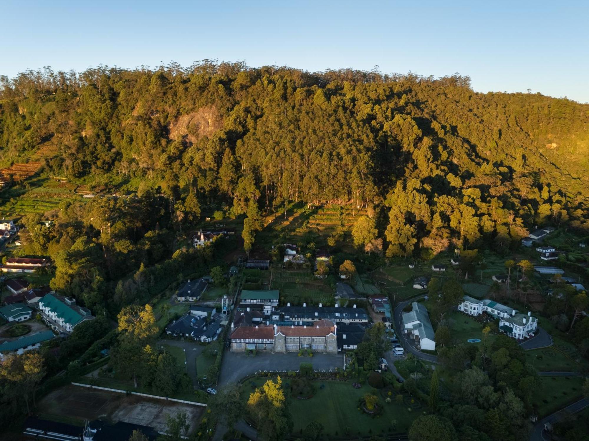 The Hill Club *