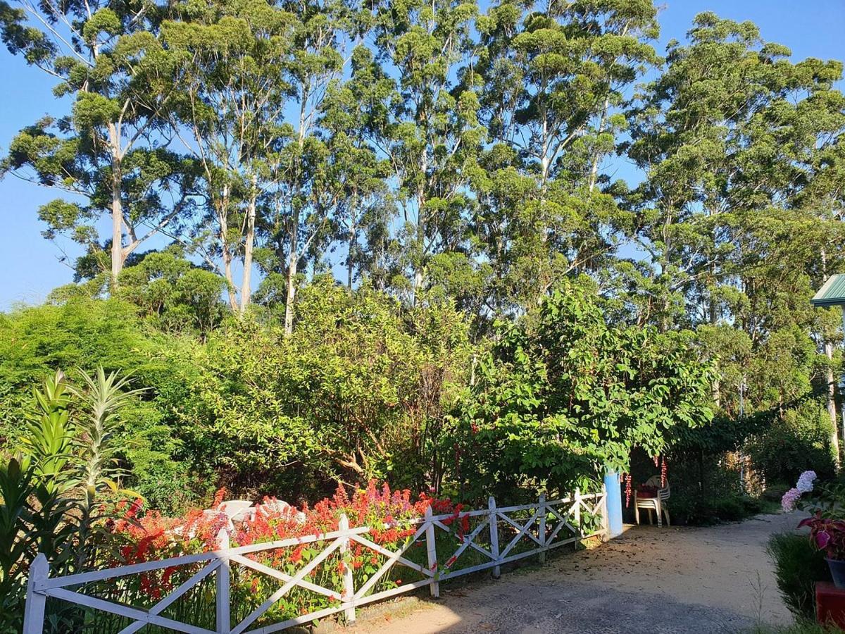 Panorama View Nuwara Eliya