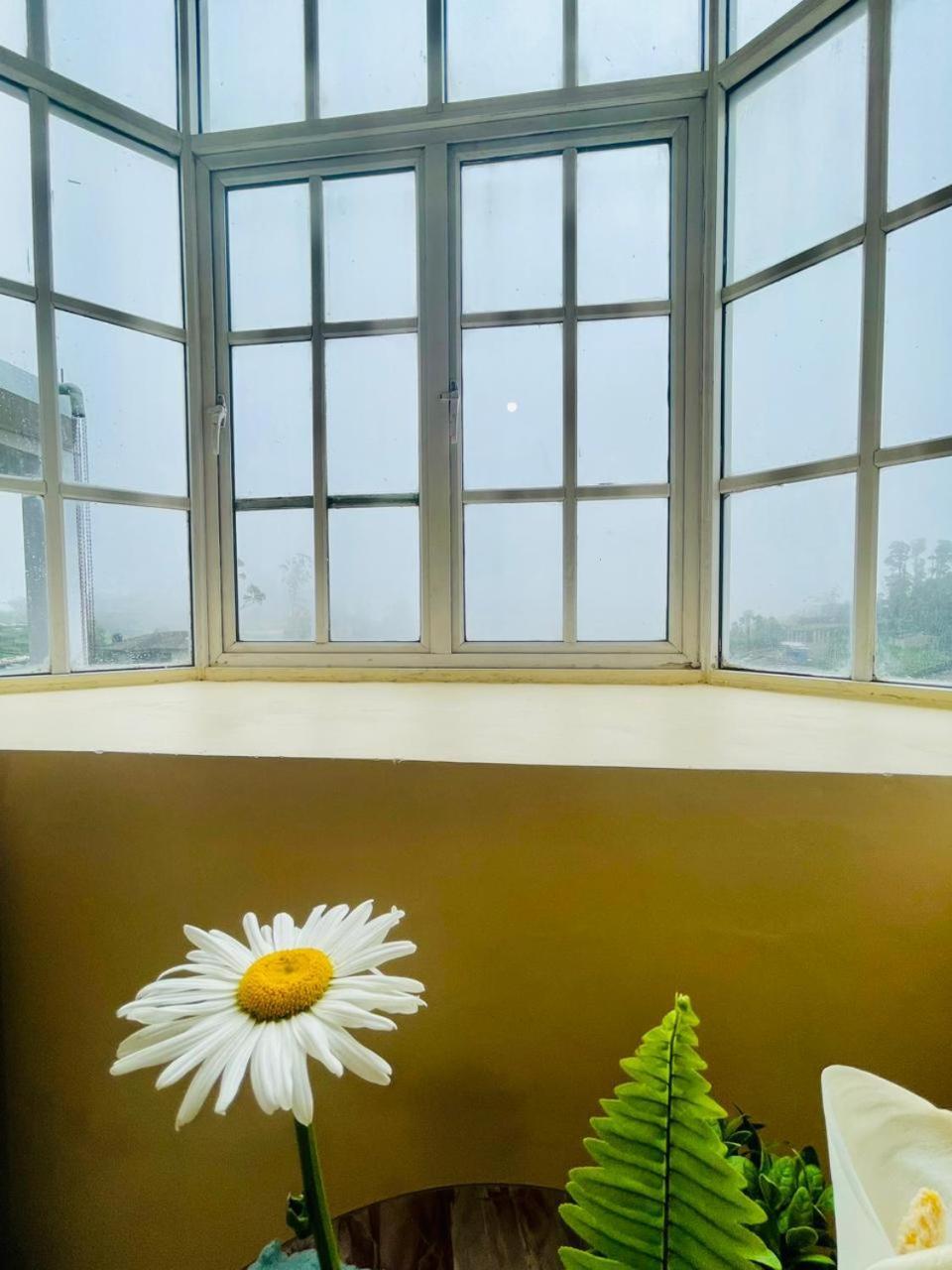 Cozy Clouds *