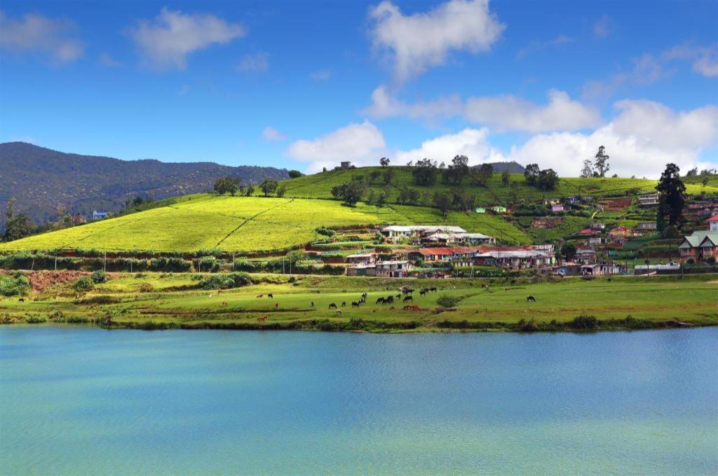 Ashley Nuwara Eliya