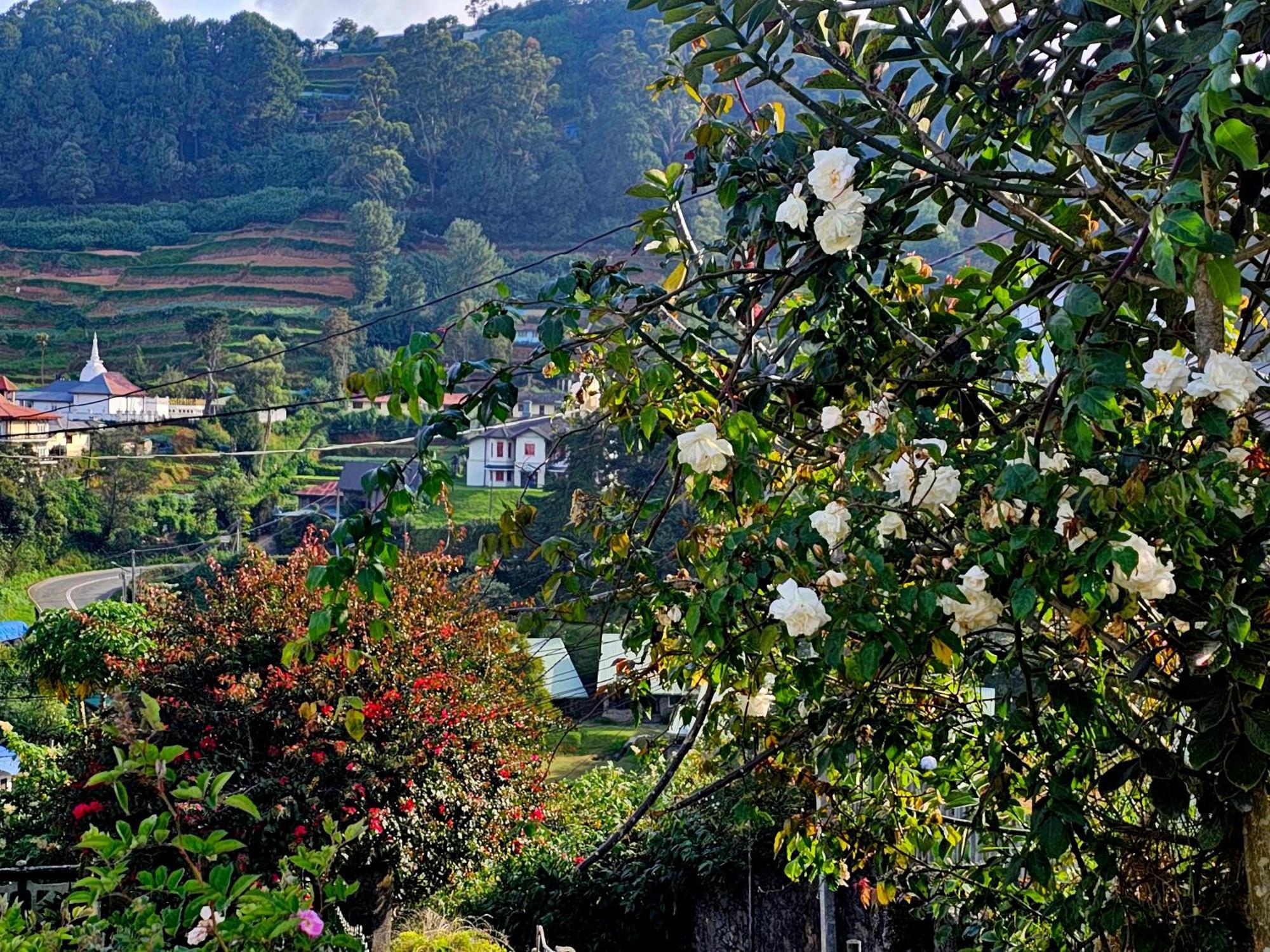 Haven Backpackers Hostel Nuwara Eliya