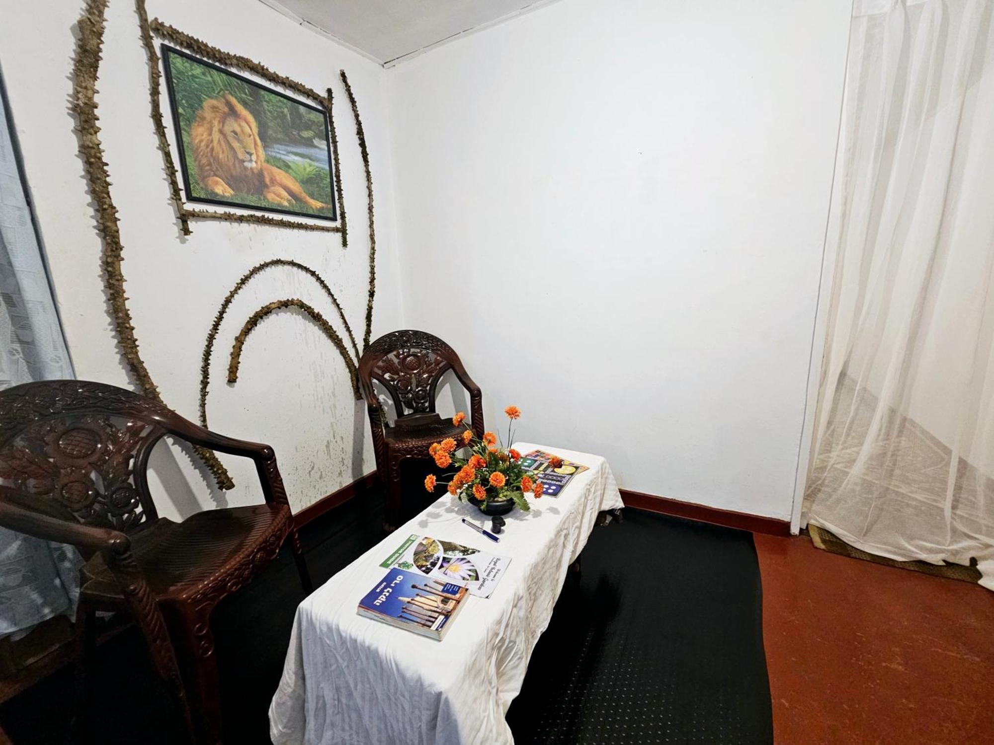 Hostel Haven Backpackers