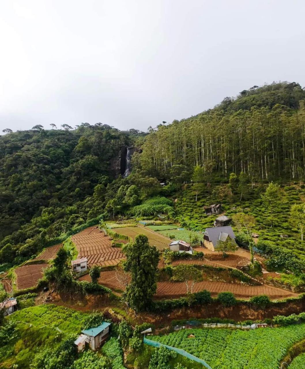 The Tranquil Wooden * Nuwara Eliya