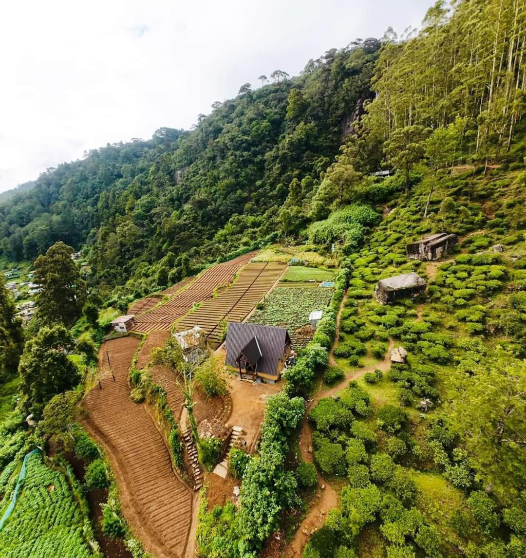 The Tranquil Wooden Luxury tent Nuwara Eliya