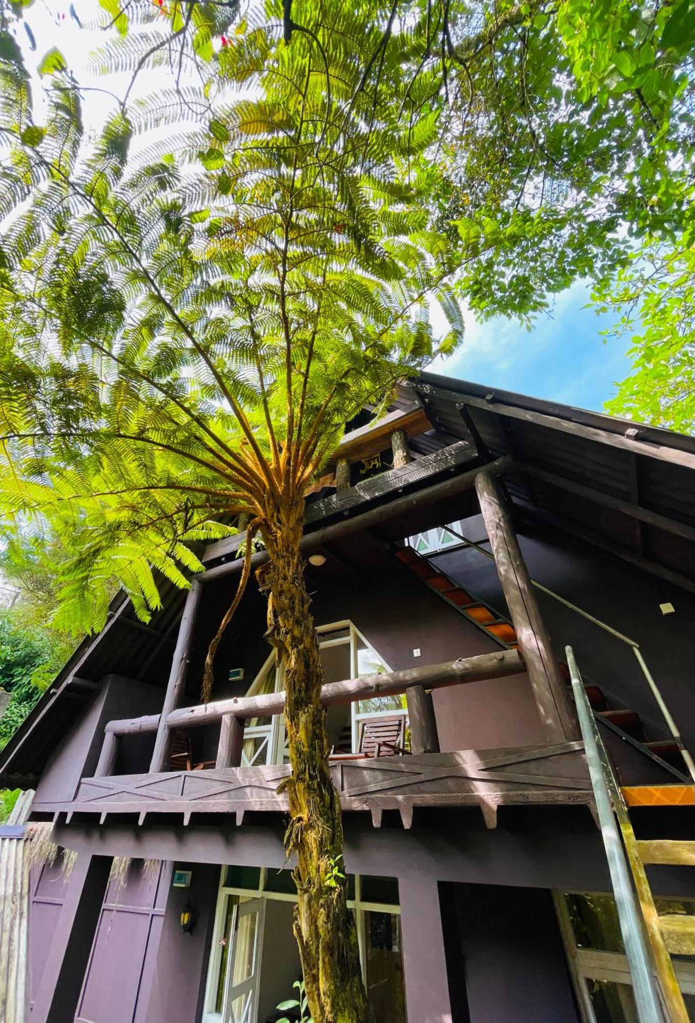 King Fern Guest house *