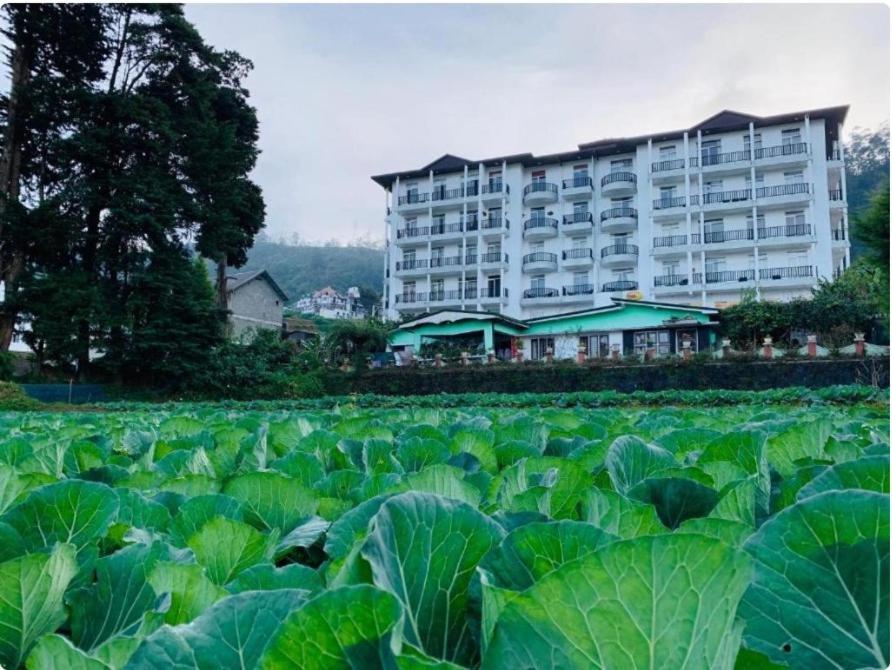 Highland View Apartment Nuwara Eliya