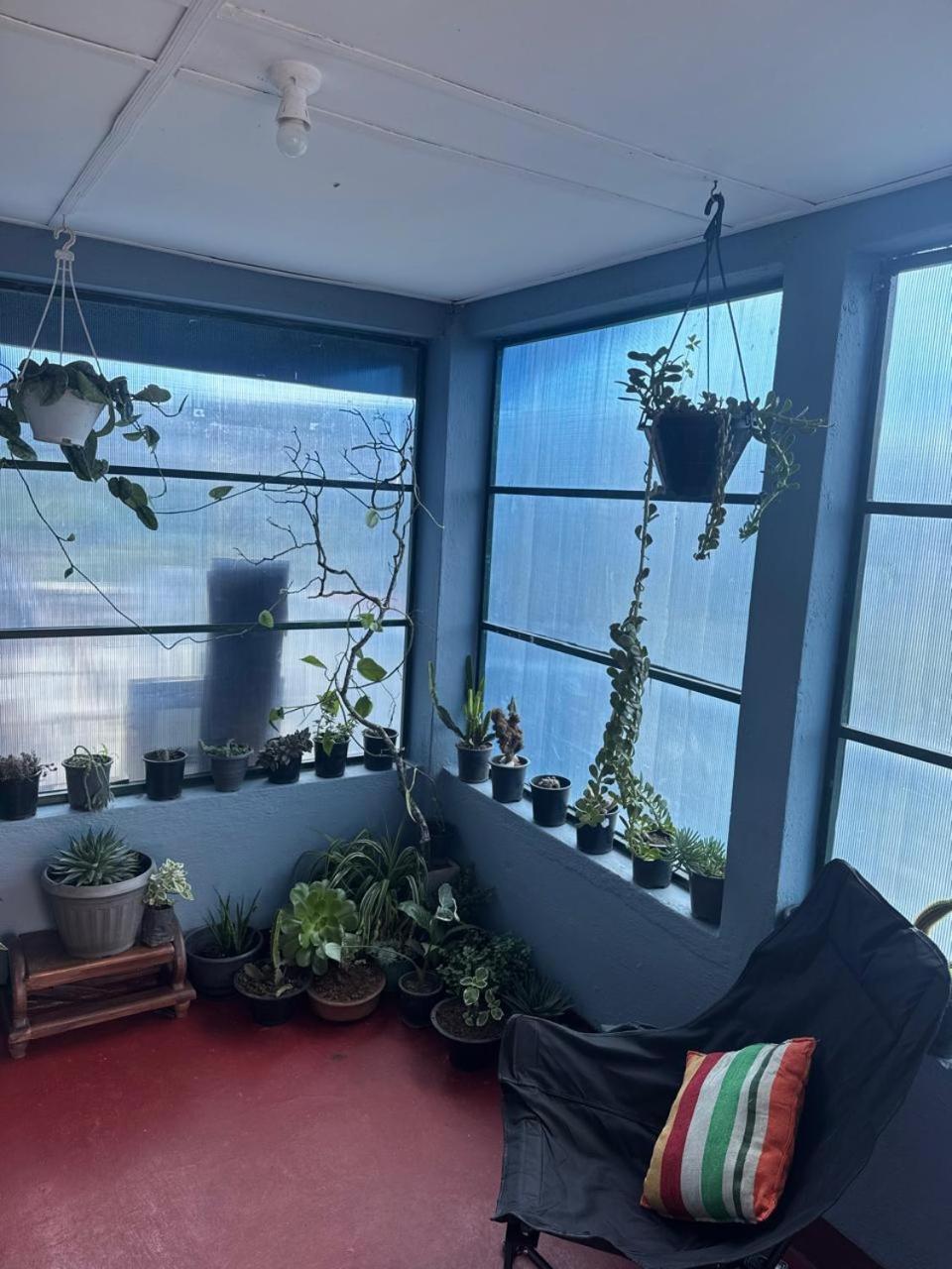 Homestay Succulent