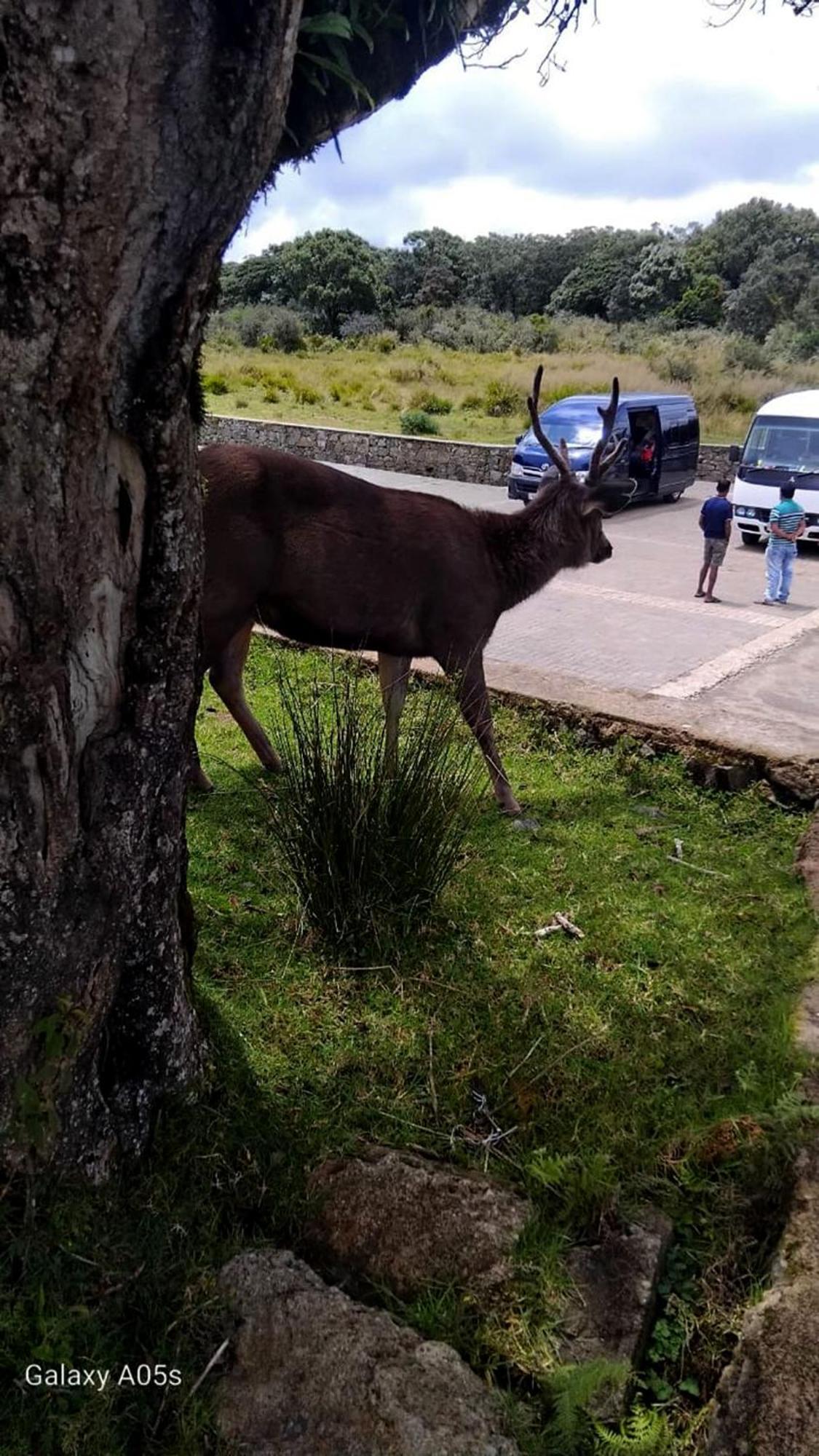 The Vacation Nuwara Eliya
