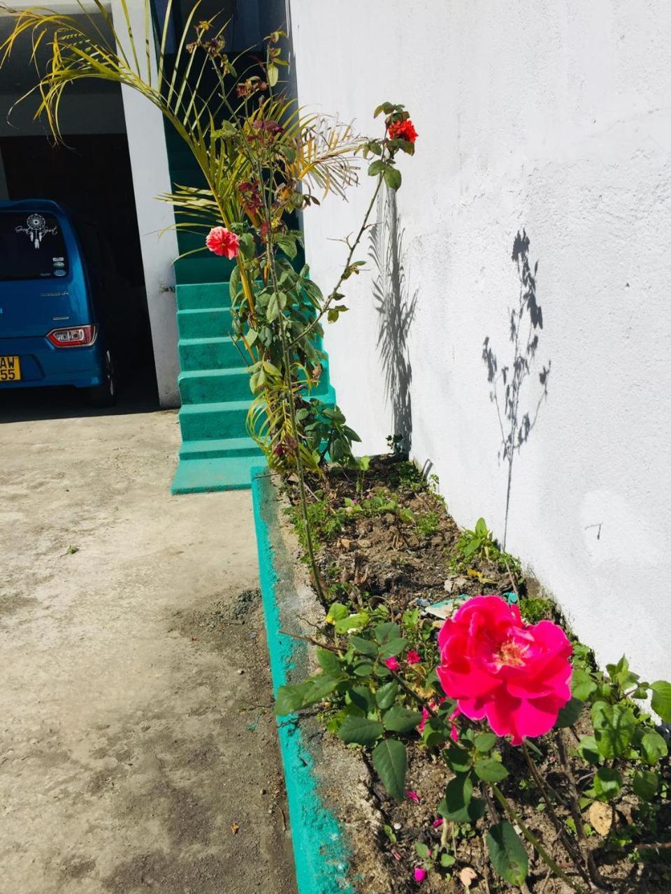 Grand Nauro Holiday home Nuwara Eliya