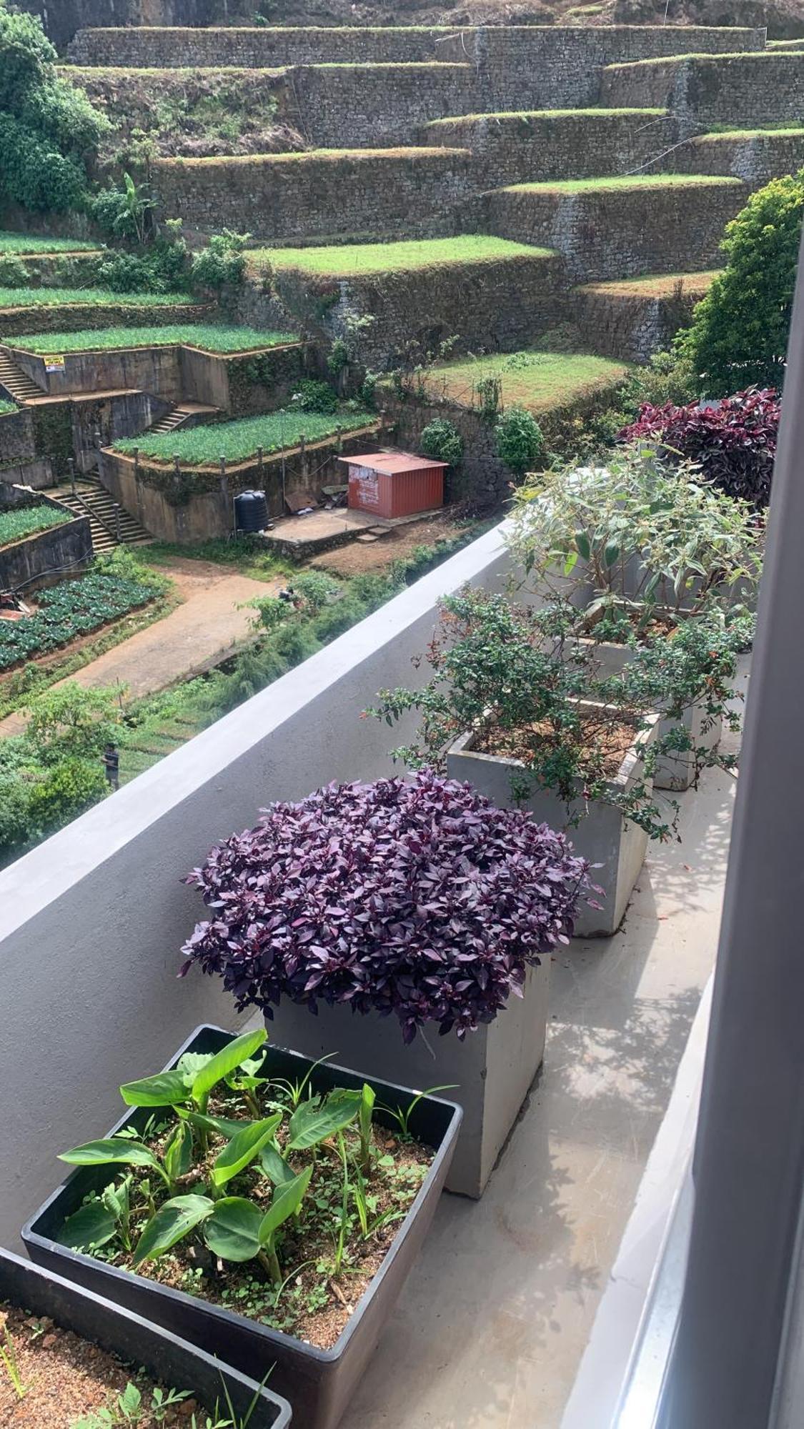 Glenence Bed & Breakfast *