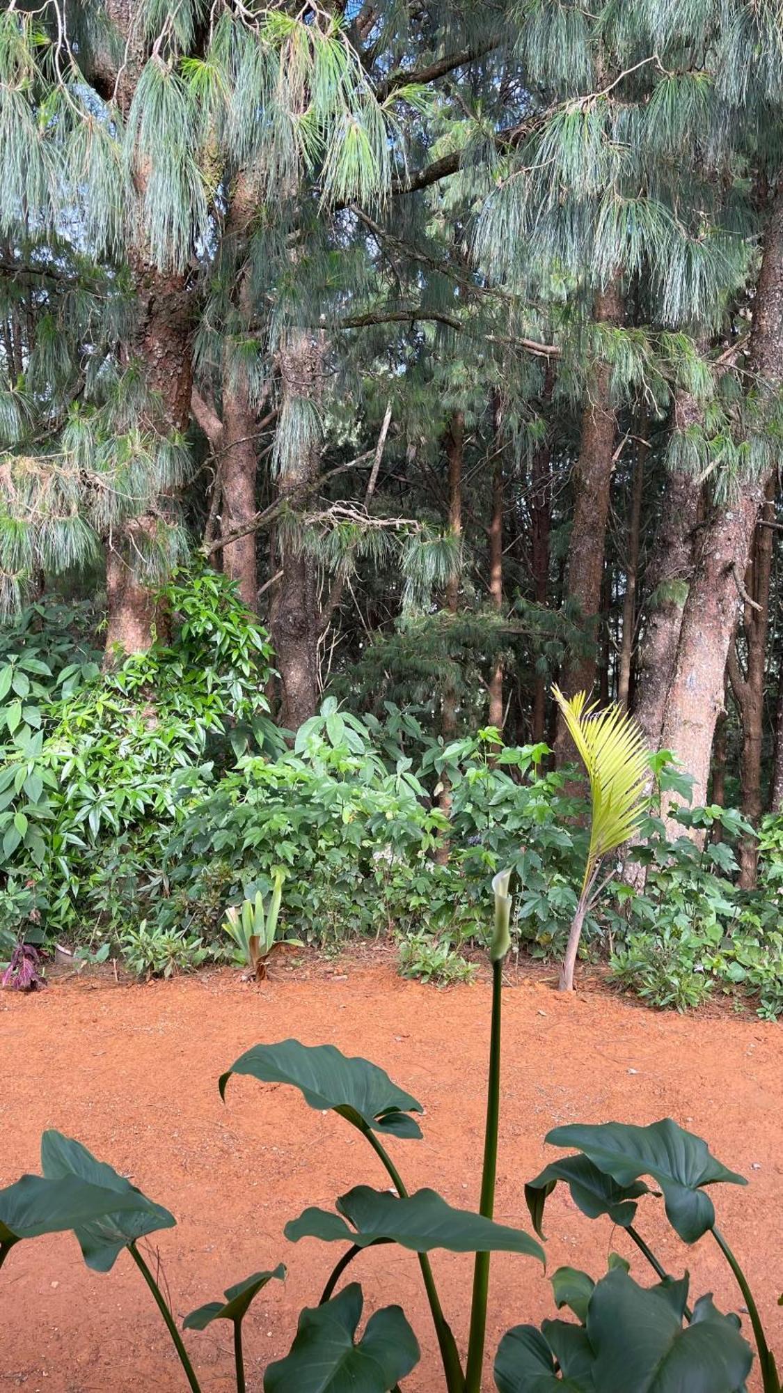 Holiday home Laza Nuwara Eliya