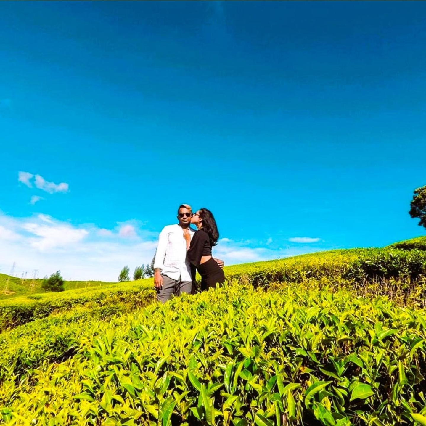 The Tea Garden * Nuwara Eliya