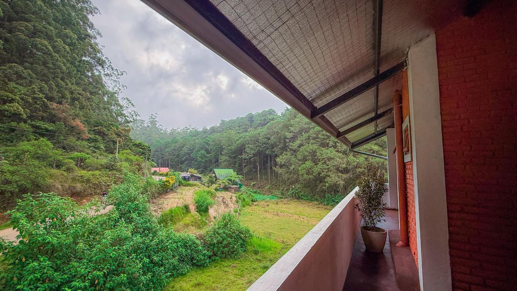 Apartment The Backwoods - *