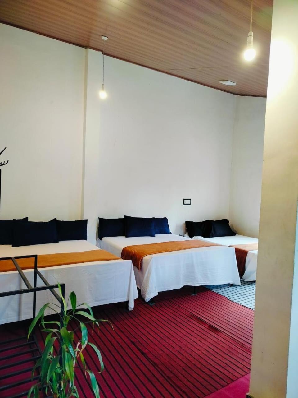Niwasa House * Nuwara Eliya