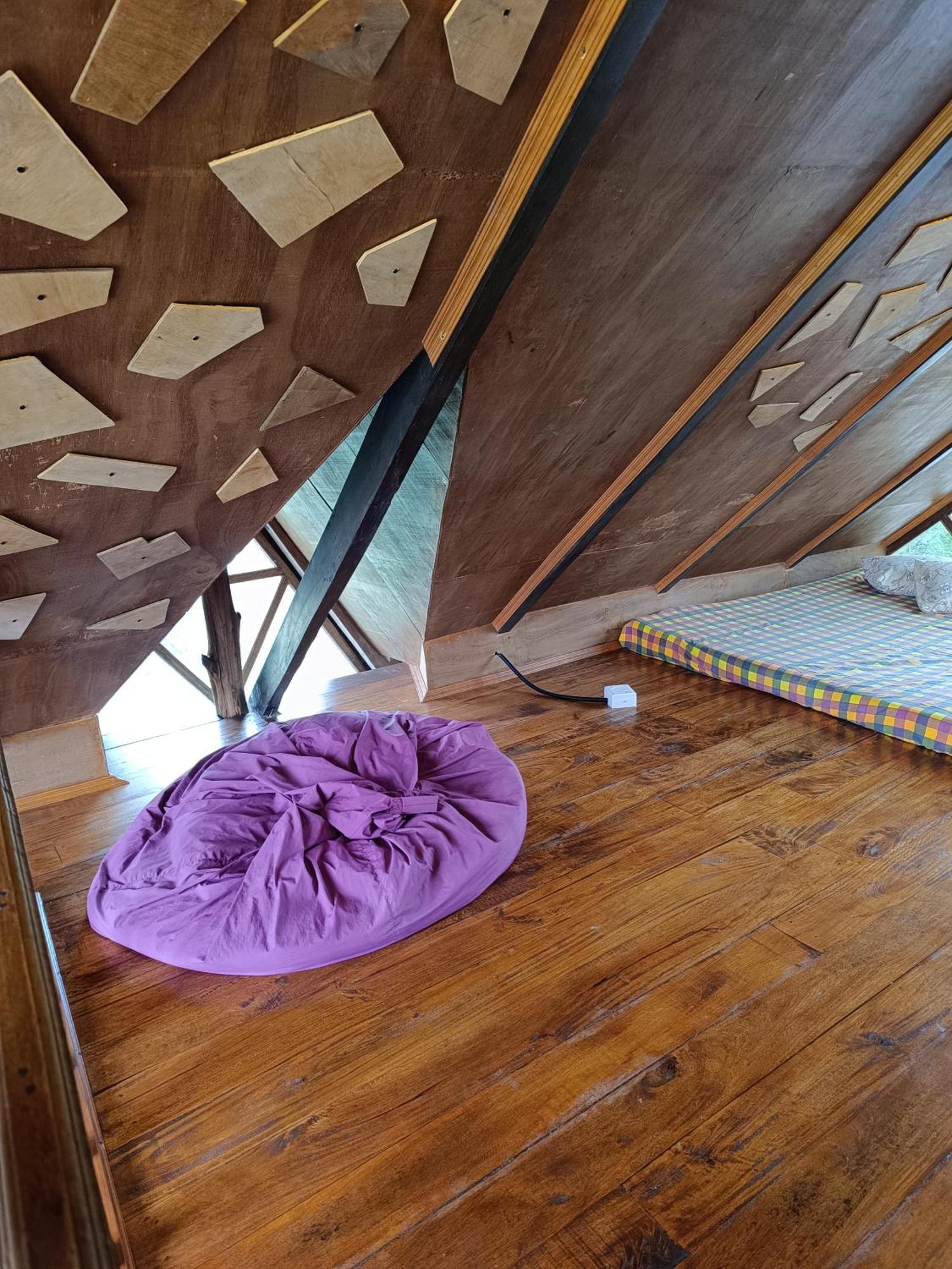 Rc Quirky Wood House
