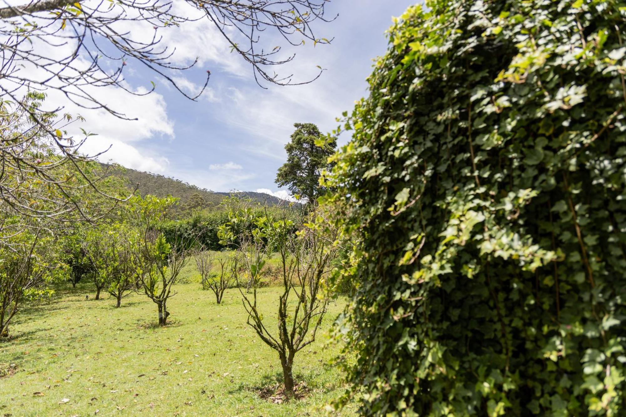 Guest house Ferncliff