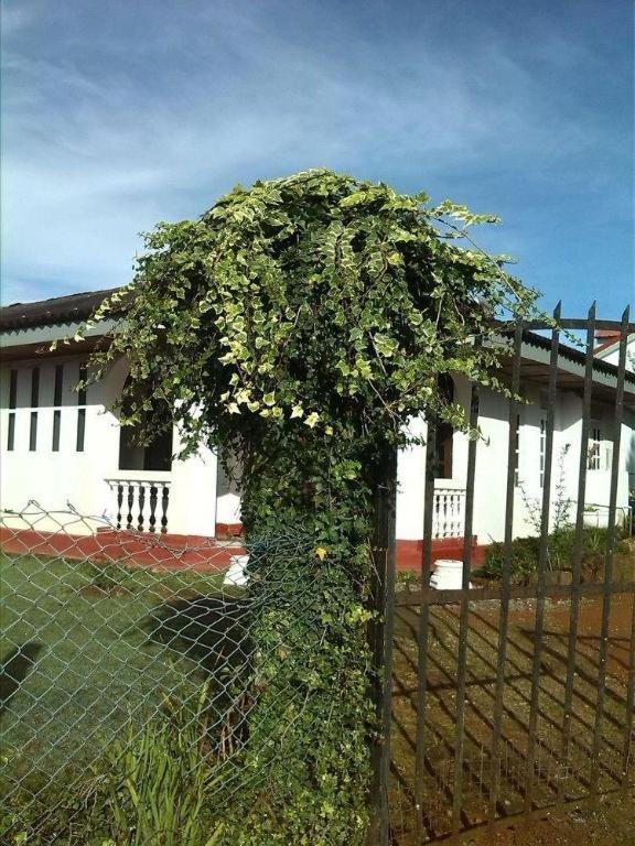 St. Andrews Hostel Nuwara Eliya