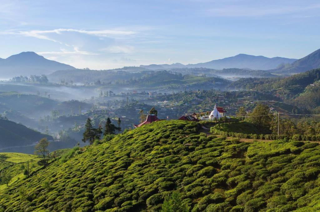 Resort Craigbank Nuwaraeliya 5*