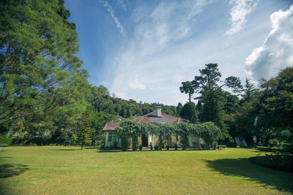 Resort Craigbank Nuwaraeliya 5*